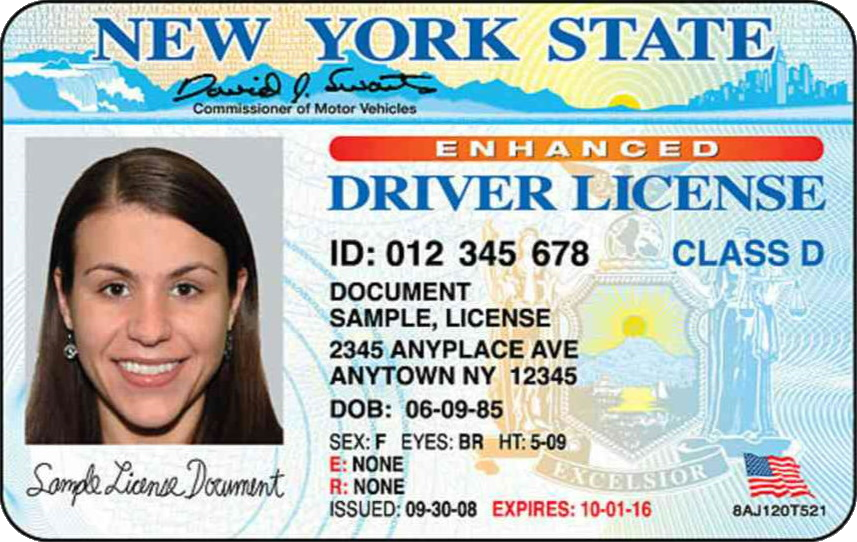 New York Driver's License